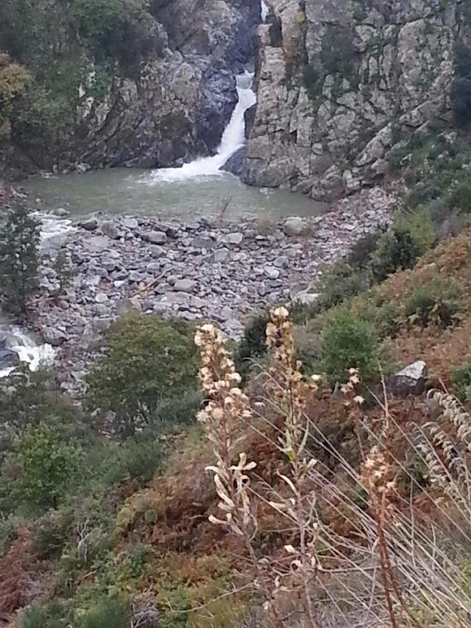B&B L'Alba Gagliato Εξωτερικό φωτογραφία
